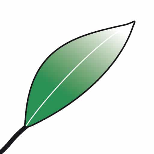 Weißner Garten- und Landschaftsbau GmbH | Jobs